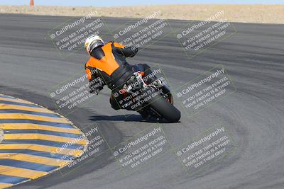 media/Feb-04-2023-SoCal Trackdays (Sat) [[8a776bf2c3]]/Turn 10 Backside (1010am)/